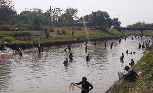 Berkah Pintu Dam Colo Sukoharjo Ditutup, Warga Bisa Dapat 15 Kg Ikan