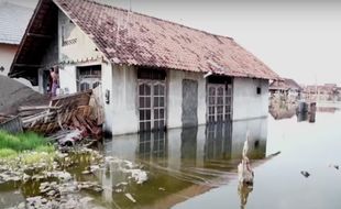 Dampak Rob, Rumah di Pesisir Pekalongan Kelep Permanen