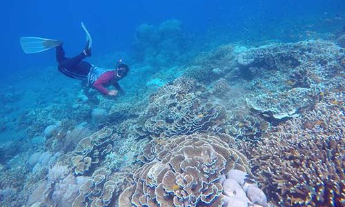 Surga Harta Karun Tak Ternilai, Eksplorasi Laut Dalam Indonesia di Depan Mata