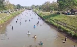 Tanpa Komando, Pasukan Pemburu Ikan Serbu Saluran Dam Colo