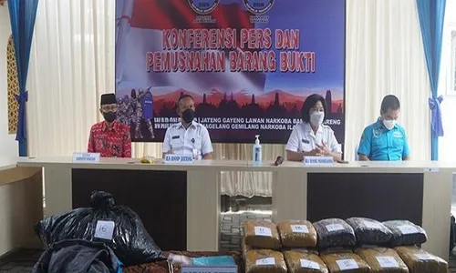 Dibawa dari Aceh, 19,3 Kg Ganja Disita BNN di Magelang