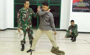 Ini Dia Kopral Janu, Ketua Exalos Indonesia Sang Pawang Ular Berbisa