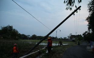 4 Tiang Listrik Ambruk, Aliran Listrik Daerah Polanharjo Klaten Padam