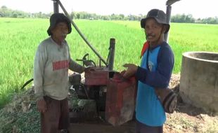 Solar di Madiun Langka, Curhat Petani Terancam Gagal Panen