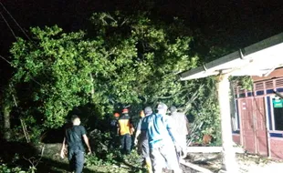 Brukk! Tertimpa Pohon Tumbang, Teras Rumah Warga Sragen Rusak