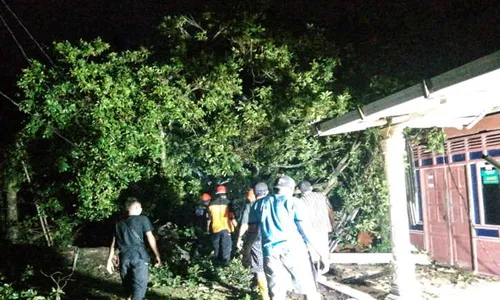 Brukk! Tertimpa Pohon Tumbang, Teras Rumah Warga Sragen Rusak