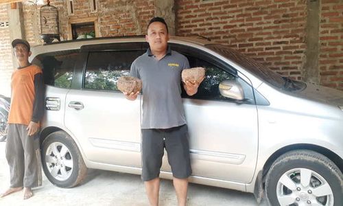 Desa Jutawan di Madiun, Warga Bisa Beli Mobil Berkat Porang