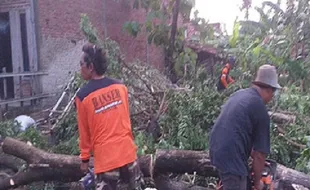 Angin Puting Beliung Terjang 4 Desa di Kudus, Ratusan Rumah Warga Rusak