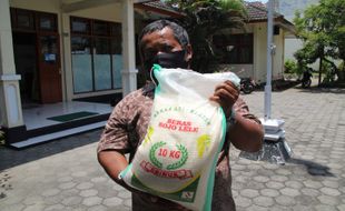 Kualitas Premium, Benih Rojolele Srinuk Klaten Siap Budi Daya di Seluruh Jateng