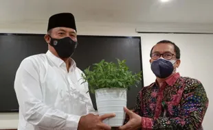 Khawatir Diklaim Daerah Lain, Karanganyar Daftarkan Stevia ke Kementan