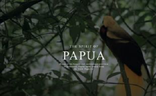 Lirik Lagu The Spirit of Papua, Karya dari Alffy Rev