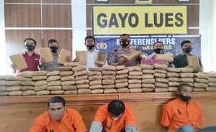 Penyelundupan 158 Kg Ganja Digagalkan Polres Gayo Lues