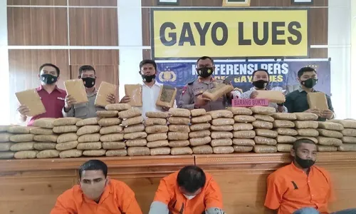 Penyelundupan 158 Kg Ganja Digagalkan Polres Gayo Lues