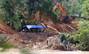 2.000 Hektare Hutan Aceh Rusak, WALHI: Akibat Tambah Emas Ilegal