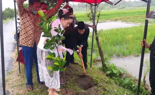 Pasangan Pengantin Klaten Rela Hujan-Hujanan Demi Tanam Pohon