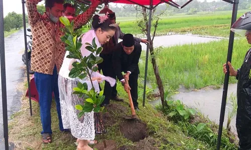 Pasangan Pengantin Klaten Rela Hujan-Hujanan Demi Tanam Pohon