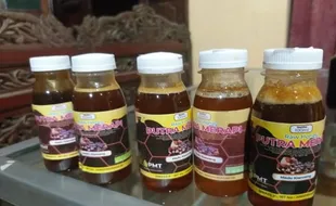 Bisnis Menggiurkan Madu Klanceng Petani Milenial Jatinom Klaten