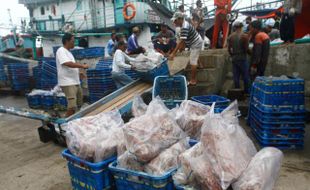 Antisipasi Kerugian Negara, KKP Ubah Harga Patokan Ikan