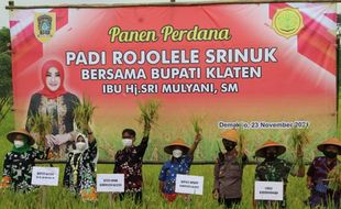 Surplus Beras, Klaten Pertahankan Daerah Penyangga Pangan Nasional