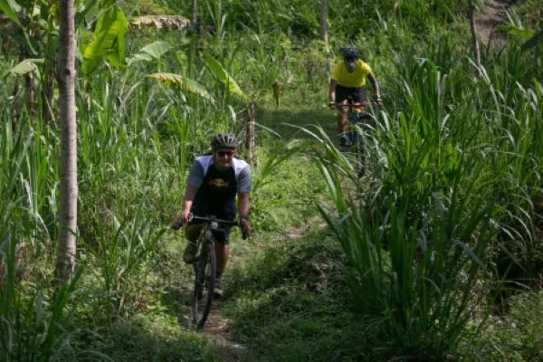 Manajemen Pengelolaan Desa Wisata Harus Adaptif dengan Perkembangan