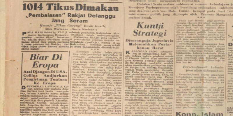 Suatu Hari pada 1951, Warga Delanggu Membasmi Tikus dengan Makan Tikus