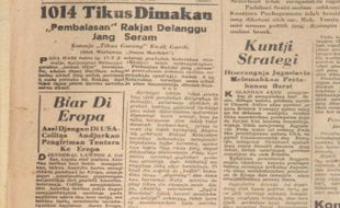 Suatu Hari pada 1951, Warga Delanggu Membasmi Tikus dengan Makan Tikus