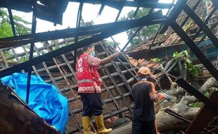 Hujan dan Angin Kencang Landa Grobogan, Pohon Tumbang Timpa Rumah