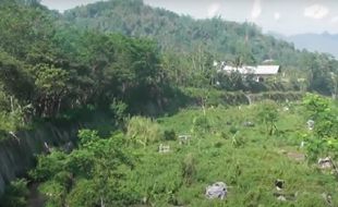 Bukit Gendol, Gunung Api Purbakala di Lereng Merapi