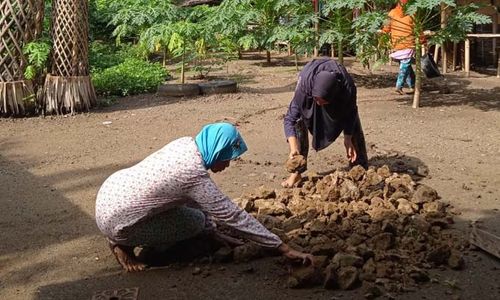 Di Punden Tingkir, Ibu Rumah Tangga di Kalijambe Sragen Kini Berdikari