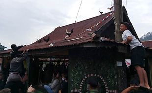 Serunya Berebut Ayam Tradisi Mondosiyo di Tawangmangu, Ini Foto-Fotonya