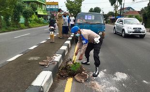 Puluhan Pot di Median Jalan Solo-Jogja Rusak, Ini Foto-Fotonya