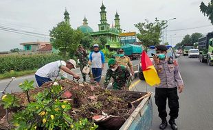 Waduh, 76 Pot Bunga di Jalan Solo-Jogja di Klaten Ditemukan Rusak