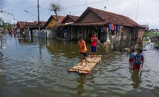 Waspada! Rob Ancam Pesisir Pantura Jateng, Nanti Tenggelam