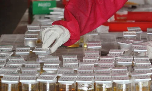 Hasil Tes Urine 30 Pedagang Pasar Besi Semanggi Solo Belum Keluar