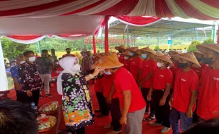 Petani Milenial Klaten Gulirkan Program 1 Kecamatan 1 Pabrik Pupuk