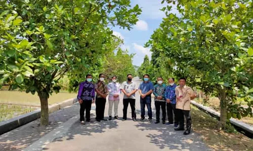 Marak Pencurian Buah di Pasung Klaten, Pemdes Pilih Tak Lapor Polisi