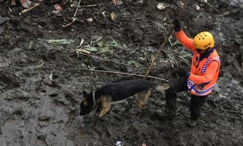 Tokip Ketemu, Operasi Pencarian Korban Banjir Bandang di Batu Ditutup