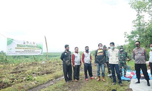 Peringati Hari Menanam Pohon, 25.000 Bibit Ditanam di Hutan Madiun