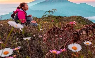 Indahnya Bukit Teletubbies di Puncak Gunung Prau