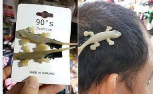 Anti-Mainstream! Jepitan Rambut Unik Ini Dapat Bikin Girap-Girap