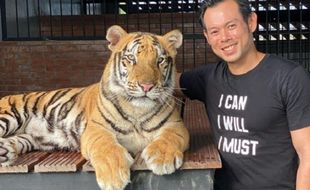 Ini Jenis Harimau yang Dipelihara Konglomerat Sukoharjo