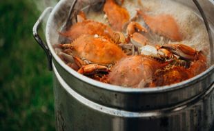 Inggris Bakal Larang Kepiting, Lobster, dan Gurita Direbus Hidup-Hidup