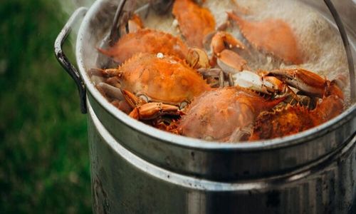 Inggris Bakal Larang Kepiting, Lobster, dan Gurita Direbus Hidup-Hidup