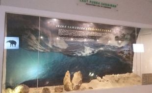 Soloraya Pernah Jadi Habitat Hiu Raksasa Megalodon