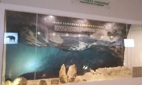 Soloraya Pernah Jadi Habitat Hiu Raksasa Megalodon