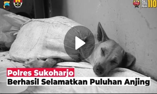 Polres Sukoharjo Selamatkan 53 Anjing yang Akan Dibikin Rica-Rica