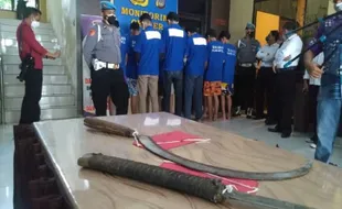 Astaga! Rata-Rata Pelajar SMA/SMK di DIY Punya Geng