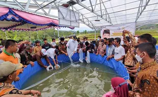 Dapat Bantuan Rp200 Juta, Peternak Lele di Sragen Kembangkan Bioflok