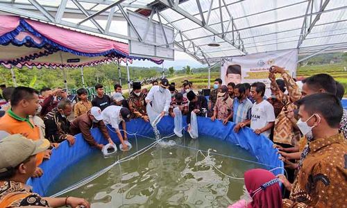 Dapat Bantuan Rp200 Juta, Peternak Lele di Sragen Kembangkan Bioflok