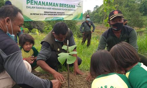 Perhutani Kenalkan Penghijauan Sejak Dini kepada 30 Siswa TK